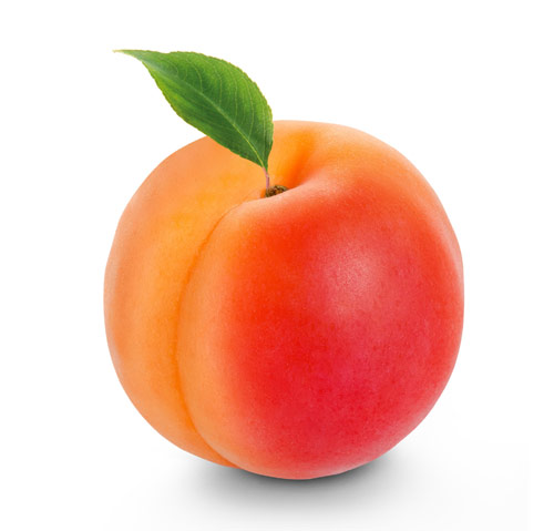 Aprikose klein, orange