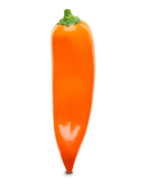 Peperoni Sweetie, orange