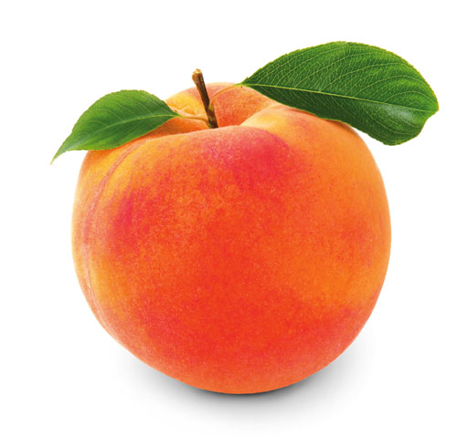Aprikose orange